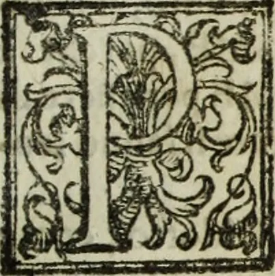 An illustration from Paradossi per pratticare la prospettiua senza saperla, fiori, per facilitare l'intelligenza, frutti, per non operare alla cieca : cognitioni necessarie à pittori, scultori, architetti, ed à qualunque si diletta di disegno, 1683, leaf 166