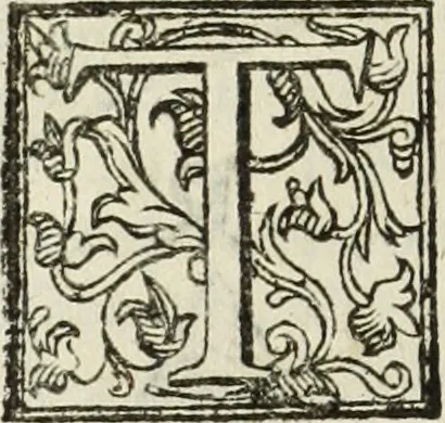 An illustration from Paradossi per pratticare la prospettiua senza saperla, fiori, per facilitare l'intelligenza, frutti, per non operare alla cieca : cognitioni necessarie à pittori, scultori, architetti, ed à qualunque si diletta di disegno, 1683, leaf 169