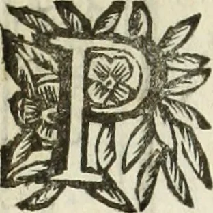 An illustration from Paradossi per pratticare la prospettiua senza saperla, fiori, per facilitare l'intelligenza, frutti, per non operare alla cieca : cognitioni necessarie à pittori, scultori, architetti, ed à qualunque si diletta di disegno, 1683, leaf 17