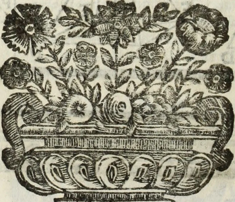 An illustration from Paradossi per pratticare la prospettiua senza saperla, fiori, per facilitare l'intelligenza, frutti, per non operare alla cieca : cognitioni necessarie à pittori, scultori, architetti, ed à qualunque si diletta di disegno, 1683, leaf 17