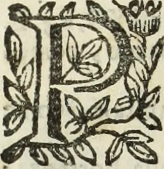 An illustration from Paradossi per pratticare la prospettiua senza saperla, fiori, per facilitare l'intelligenza, frutti, per non operare alla cieca : cognitioni necessarie à pittori, scultori, architetti, ed à qualunque si diletta di disegno, 1683, leaf 177