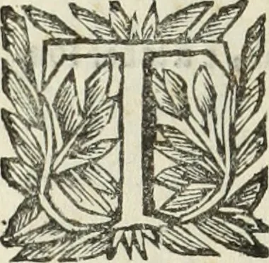 An illustration from Paradossi per pratticare la prospettiua senza saperla, fiori, per facilitare l'intelligenza, frutti, per non operare alla cieca : cognitioni necessarie à pittori, scultori, architetti, ed à qualunque si diletta di disegno, 1683, leaf 179