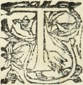 An illustration from Paradossi per pratticare la prospettiua senza saperla, fiori, per facilitare l'intelligenza, frutti, per non operare alla cieca : cognitioni necessarie à pittori, scultori, architetti, ed à qualunque si diletta di disegno, 1683, leaf 181