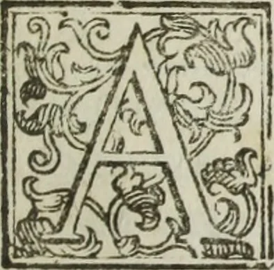 An illustration from Paradossi per pratticare la prospettiua senza saperla, fiori, per facilitare l'intelligenza, frutti, per non operare alla cieca : cognitioni necessarie à pittori, scultori, architetti, ed à qualunque si diletta di disegno, 1683, leaf 184
