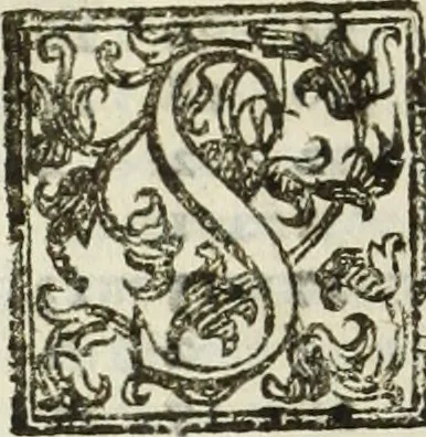 An illustration from Paradossi per pratticare la prospettiua senza saperla, fiori, per facilitare l'intelligenza, frutti, per non operare alla cieca : cognitioni necessarie à pittori, scultori, architetti, ed à qualunque si diletta di disegno, 1683, leaf 185