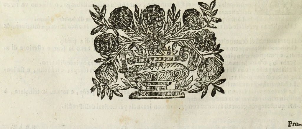 An illustration from Paradossi per pratticare la prospettiua senza saperla, fiori, per facilitare l'intelligenza, frutti, per non operare alla cieca : cognitioni necessarie à pittori, scultori, architetti, ed à qualunque si diletta di disegno, 1683, leaf 185