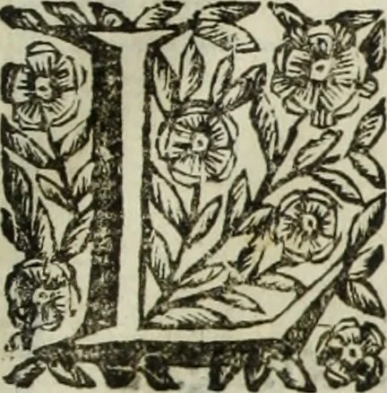 An illustration from Paradossi per pratticare la prospettiua senza saperla, fiori, per facilitare l'intelligenza, frutti, per non operare alla cieca : cognitioni necessarie à pittori, scultori, architetti, ed à qualunque si diletta di disegno, 1683, leaf 188