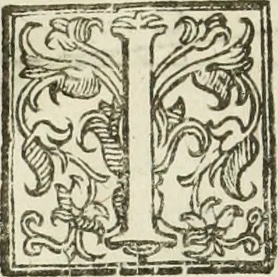 An illustration from Paradossi per pratticare la prospettiua senza saperla, fiori, per facilitare l'intelligenza, frutti, per non operare alla cieca : cognitioni necessarie à pittori, scultori, architetti, ed à qualunque si diletta di disegno, 1683, leaf 191