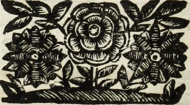 An illustration from Paradossi per pratticare la prospettiua senza saperla, fiori, per facilitare l'intelligenza, frutti, per non operare alla cieca : cognitioni necessarie à pittori, scultori, architetti, ed à qualunque si diletta di disegno, 1683, leaf 39