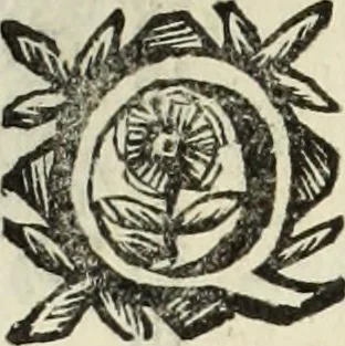 An illustration from Paradossi per pratticare la prospettiua senza saperla, fiori, per facilitare l'intelligenza, frutti, per non operare alla cieca : cognitioni necessarie à pittori, scultori, architetti, ed à qualunque si diletta di disegno, 1683, leaf 41