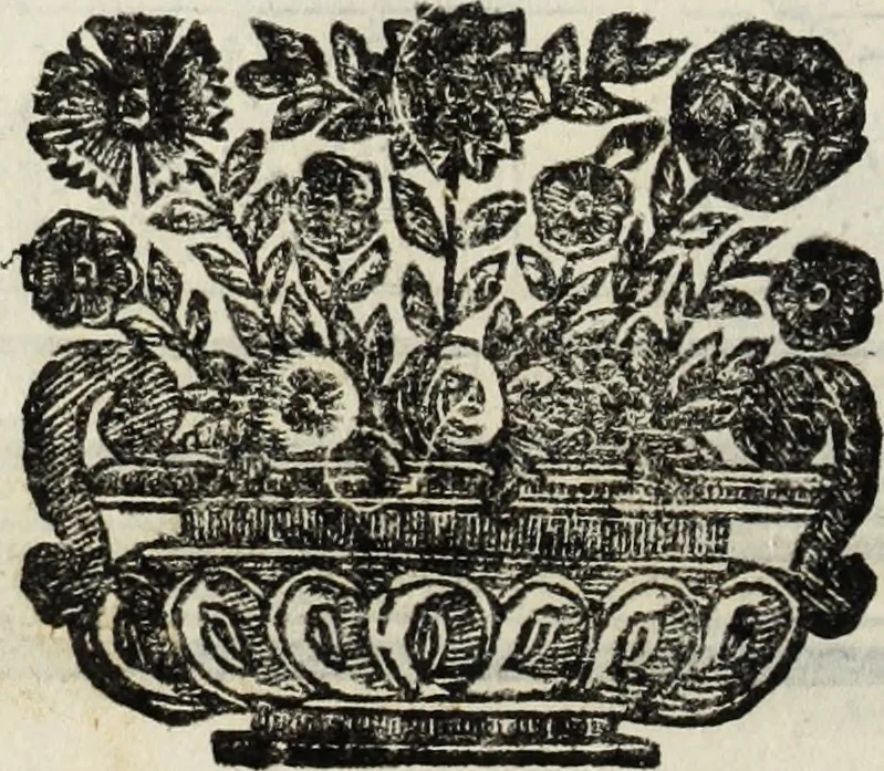 An illustration from Paradossi per pratticare la prospettiua senza saperla, fiori, per facilitare l'intelligenza, frutti, per non operare alla cieca : cognitioni necessarie à pittori, scultori, architetti, ed à qualunque si diletta di disegno, 1683, leaf 43