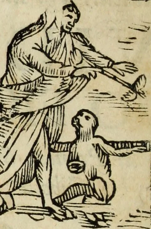 An illustration from Paradossi per pratticare la prospettiua senza saperla, fiori, per facilitare l'intelligenza, frutti, per non operare alla cieca : cognitioni necessarie à pittori, scultori, architetti, ed à qualunque si diletta di disegno, 1683, leaf 5