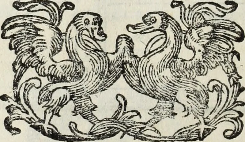 An illustration from Paradossi per pratticare la prospettiua senza saperla, fiori, per facilitare l'intelligenza, frutti, per non operare alla cieca : cognitioni necessarie à pittori, scultori, architetti, ed à qualunque si diletta di disegno, 1683, leaf 57
