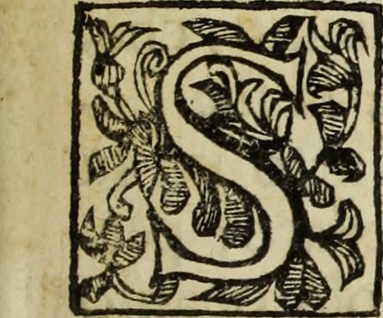 An illustration from Paradossi per pratticare la prospettiua senza saperla, fiori, per facilitare l'intelligenza, frutti, per non operare alla cieca : cognitioni necessarie à pittori, scultori, architetti, ed à qualunque si diletta di disegno, 1683, leaf 6