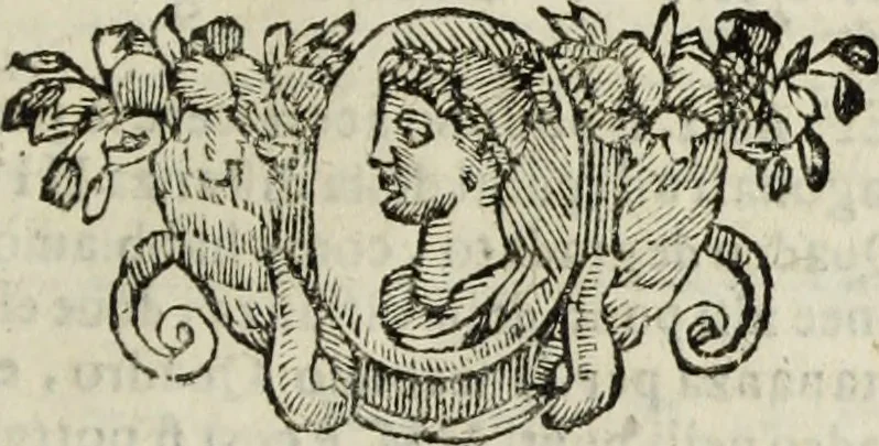 An illustration from Paradossi per pratticare la prospettiua senza saperla, fiori, per facilitare l'intelligenza, frutti, per non operare alla cieca : cognitioni necessarie à pittori, scultori, architetti, ed à qualunque si diletta di disegno, 1683, leaf 60