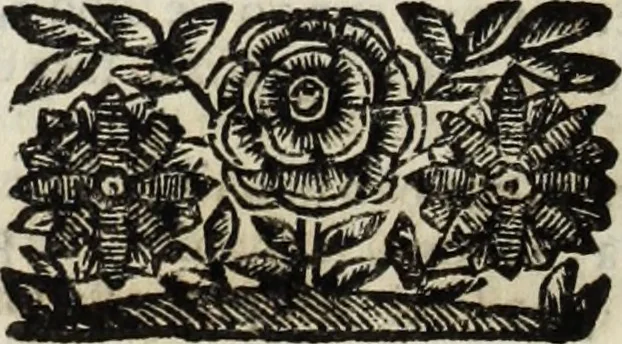 An illustration from Paradossi per pratticare la prospettiua senza saperla, fiori, per facilitare l'intelligenza, frutti, per non operare alla cieca : cognitioni necessarie à pittori, scultori, architetti, ed à qualunque si diletta di disegno, 1683, leaf 61