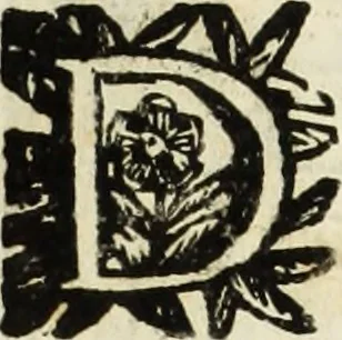 An illustration from Paradossi per pratticare la prospettiua senza saperla, fiori, per facilitare l'intelligenza, frutti, per non operare alla cieca : cognitioni necessarie à pittori, scultori, architetti, ed à qualunque si diletta di disegno, 1683, leaf 69