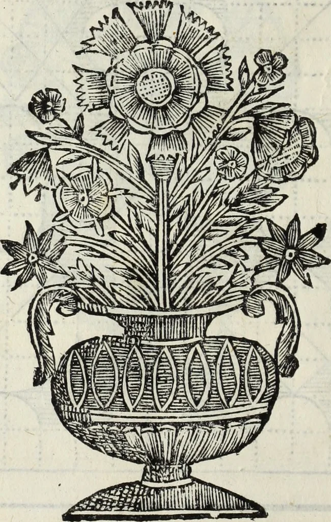 An illustration from Paradossi per pratticare la prospettiua senza saperla, fiori, per facilitare l'intelligenza, frutti, per non operare alla cieca : cognitioni necessarie à pittori, scultori, architetti, ed à qualunque si diletta di disegno, 1683, leaf 79