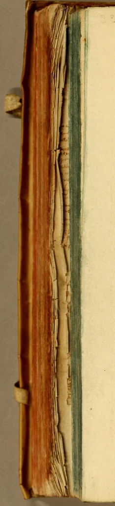 An illustration from Para el articulo de la retencion que la Sancta Iglesia Cathedral del Cuzco, pretende se le de, : de todos los bienes, que quedaron por fin, y muerte, de su obispo, el señor Doct. D. Pedro de Ortega Sotomayor. / Suplica a V.S., el Lic. D. Marco Antonio Fernandez de Antezana, canonigo della, mande passar los ojos por estos breves apuntamientos Suplica a V.S., el Lic. D. Marco Antonio Fernandez de Antezana, canonigo della, mande passar los ojos por estos breves apuntamientos., 1659, leaf 16