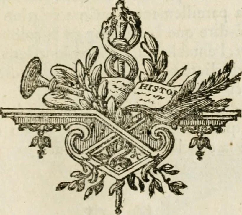 An illustration from Parallele de l'architecture antique avec la moderne : suivant les dix principaux auteurs qui ont écrit sur les cinq ordres, 1766, leaf 104
