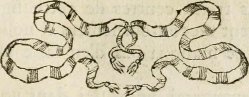 An illustration from Parallele de l'architecture antique avec la moderne : suivant les dix principaux auteurs qui ont écrit sur les cinq ordres, 1766, leaf 126