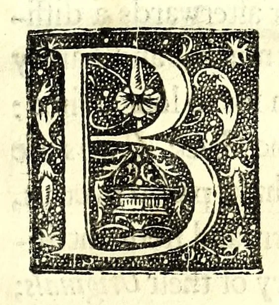 An illustration from A parallel of the antient architecture with the modern : in a collection of ten principal authors who have written upon the five orders ..., 1664, leaf 29