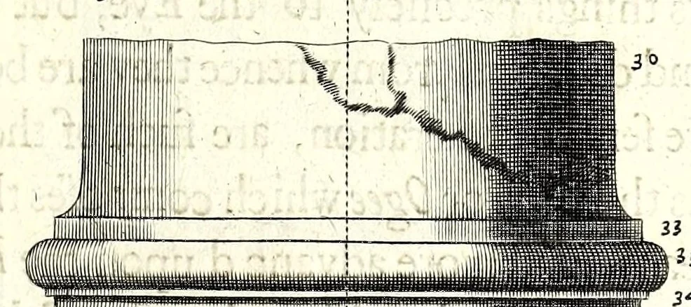An illustration from A parallel of the antient architecture with the modern : in a collection of ten principal authors who have written upon the five orders ..., 1664, leaf 95