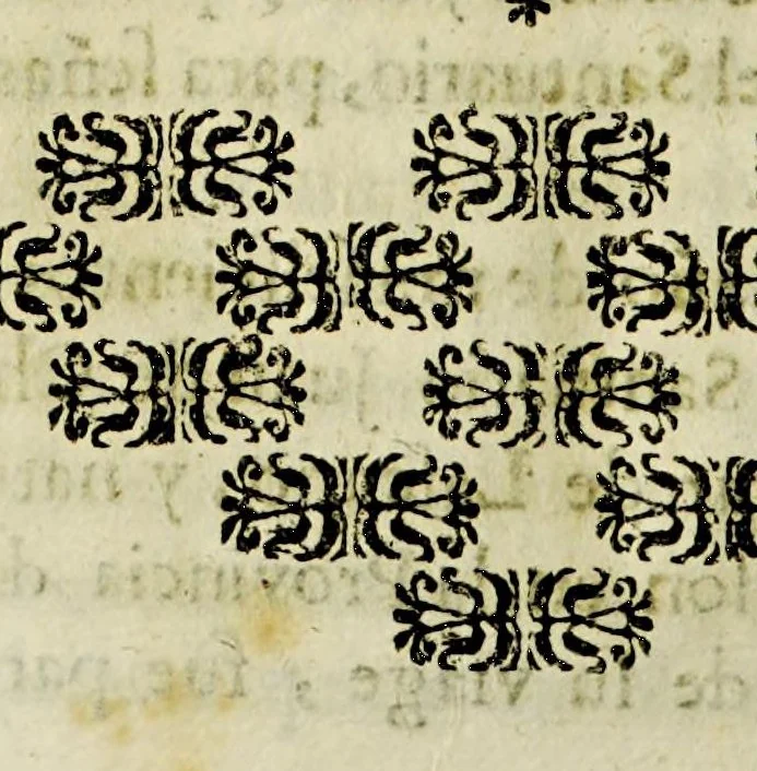 An illustration from Paranynfo celeste : historia de la mystica zarza, milagrosa imagen, y prodigioso santuario de Aranzazu, de religiosos observantes de nuetro [sic] serafico padre San Francisco en la provincia de Guipuzcoa, de la region de Cantabria,, 1690, leaf 314