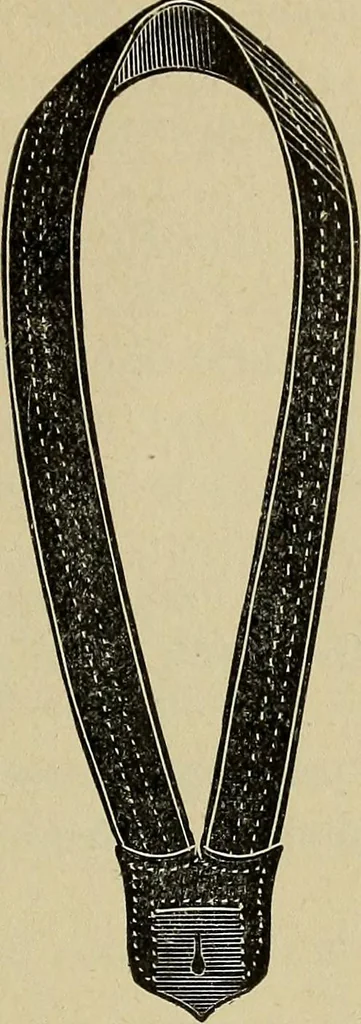 An illustration from Paraphernalia and supplies for subordinate lodges of the Knights of Pythias, in strict accordance with ritualistic requirements .., 1894, leaf 102