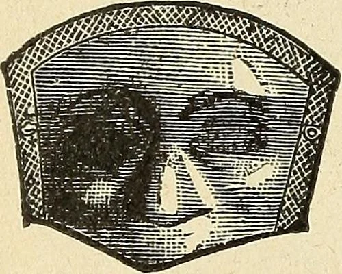 An illustration from Paraphernalia and supplies for subordinate lodges of the Knights of Pythias, in strict accordance with ritualistic requirements .., 1894, leaf 29