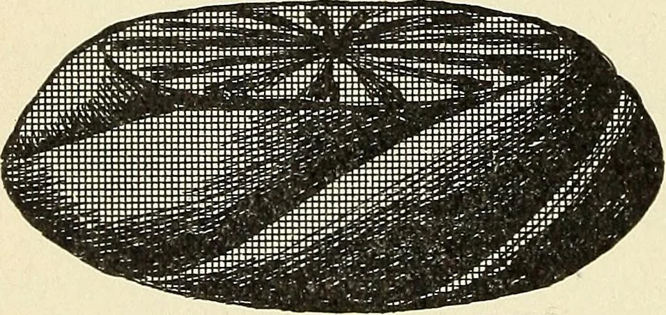 An illustration from Paraphernalia and supplies for subordinate lodges of the Knights of Pythias, in strict accordance with ritualistic requirements .., 1894, leaf 93