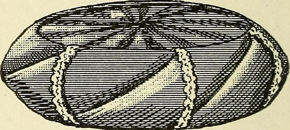 An illustration from Paraphernalia and supplies for subordinate lodges of the Knights of Pythias, in strict accordance with ritualistic requirements .., 1894, leaf 93