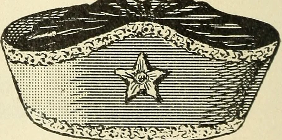 An illustration from Paraphernalia and supplies for subordinate lodges of the Knights of Pythias, in strict accordance with ritualistic requirements .., 1894, leaf 93