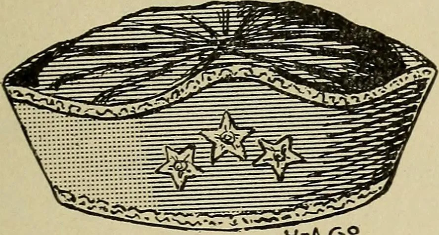 An illustration from Paraphernalia and supplies for subordinate lodges of the Knights of Pythias, in strict accordance with ritualistic requirements .., 1894, leaf 94