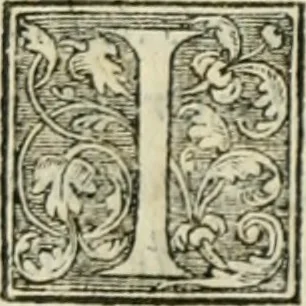 An illustration from Paraphrase de l'astrolabe, contenant Les principes de geometrie. La sphere. L'astrolabe, ou, declaration des choses celestes. Le miroir du monde, ou, exposition des parties de la terre, 1546, leaf 101