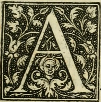 An illustration from Paraphrase de l'astrolabe, contenant Les principes de geometrie. La sphere. L'astrolabe, ou, declaration des choses celestes. Le miroir du monde, ou, exposition des parties de la terre, 1546, leaf 168