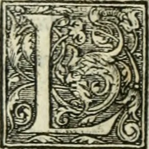 An illustration from Paraphrase de l'astrolabe, contenant Les principes de geometrie. La sphere. L'astrolabe, ou, declaration des choses celestes. Le miroir du monde, ou, exposition des parties de la terre, 1546, leaf 171