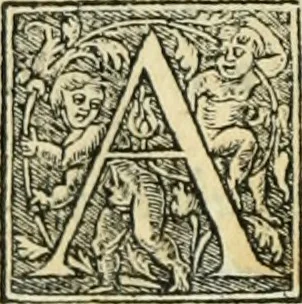 An illustration from Paraphrase de l'astrolabe, contenant Les principes de geometrie. La sphere. L'astrolabe, ou, declaration des choses celestes. Le miroir du monde, ou, exposition des parties de la terre, 1546, leaf 207