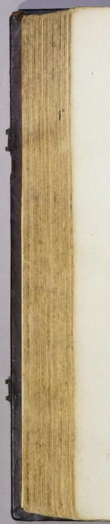 An illustration from Paratus de temp[or]e [con]tine[n]s eua[n]gelio[rum] de tem[por]e expo[sitio]nes: necnon de tem[por]e epistola[rum] sermo[n]es elaboraru[m] opus correctissimu[s] incipit feliciter., leaf 254