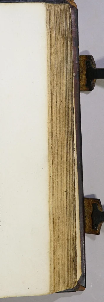 An illustration from Paratus de temp[or]e [con]tine[n]s eua[n]gelio[rum] de tem[por]e expo[sitio]nes: necnon de tem[por]e epistola[rum] sermo[n]es elaboraru[m] opus correctissimu[s] incipit feliciter., leaf 367