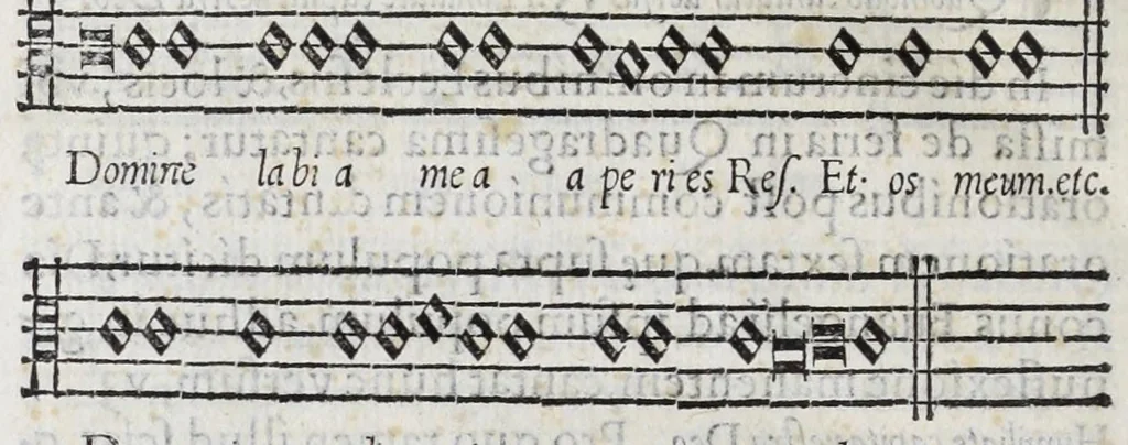 An illustration from Paridis Crassi bononien. olim apostolicarvm cerimoniarvm magistri ac episcopi pisavren. De cerimoniis cardinalivm et episcoporum in eorum dioecesibus libri dvo : singulis etiam ecclesiarum canonicis valde necessarij : nunc primum impressi, 1564, leaf 320