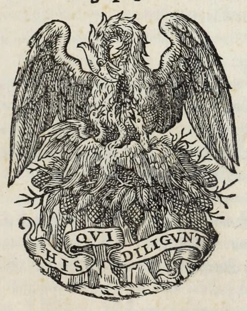 An illustration from Paridis Crassi bononien. olim apostolicarvm cerimoniarvm magistri ac episcopi pisavren. De cerimoniis cardinalivm et episcoporum in eorum dioecesibus libri dvo : singulis etiam ecclesiarum canonicis valde necessarij : nunc primum impressi, 1564, leaf 5