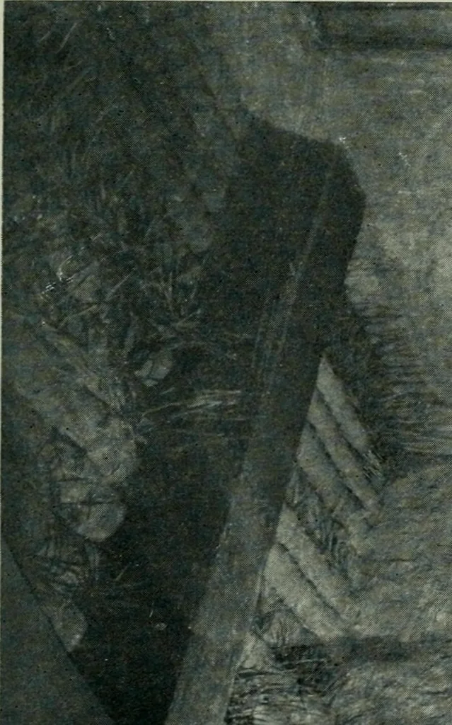 An illustration from Paris in London : 1902, Earl's Court : official guide and catalogue : director general Imre Kiralfy, 1902, leaf 224
