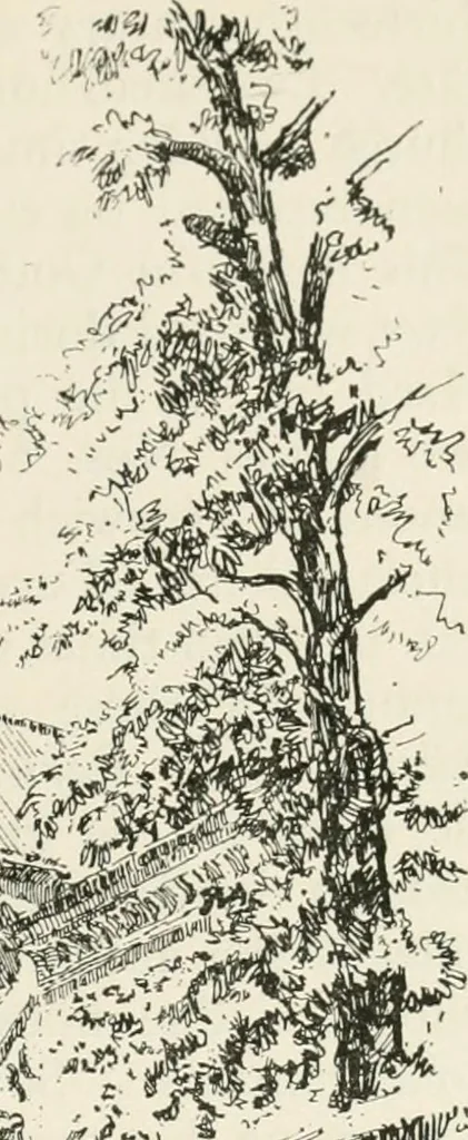 An illustration from Paris and its story, by T. Okey; illustrated by Katherine Kimball & O. F. M. Ward, 1904, leaf 418
