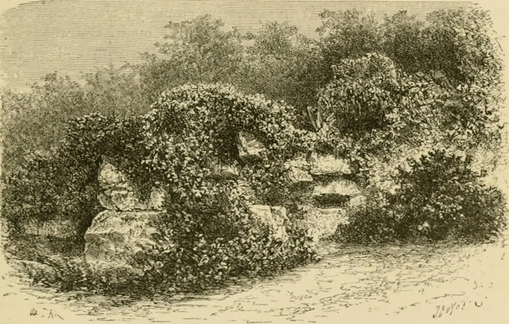 An illustration from The parks and gardens of Paris, considered in relation to the wants of other cities and of the public and private gardens; being notes on a study of Paris gardens, 1878, leaf 108