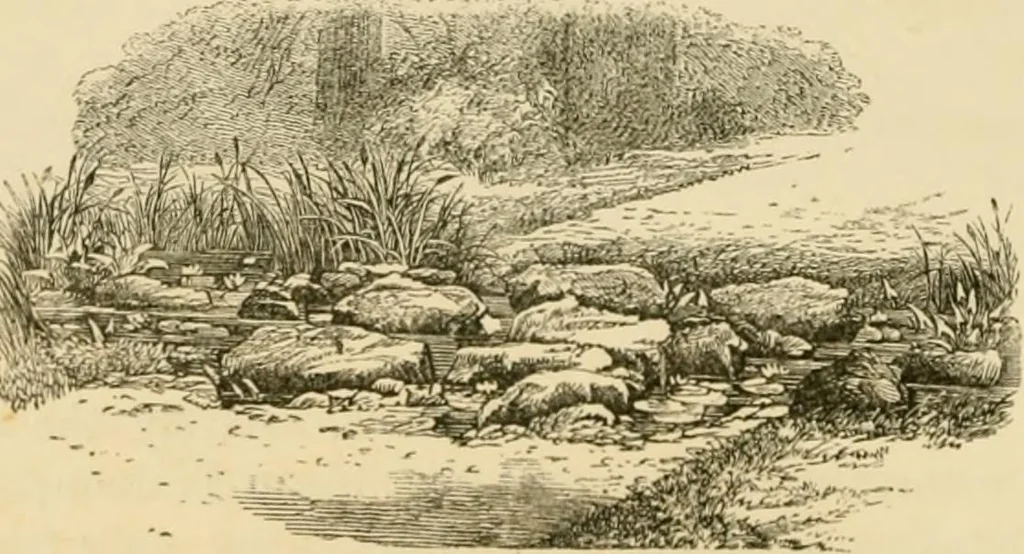 An illustration from The parks and gardens of Paris, considered in relation to the wants of other cities and of the public and private gardens; being notes on a study of Paris gardens, 1878, leaf 111