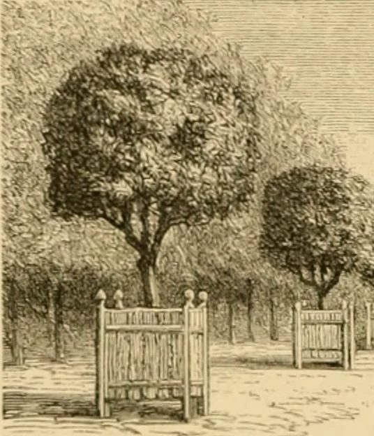 An illustration from The parks and gardens of Paris, considered in relation to the wants of other cities and of the public and private gardens; being notes on a study of Paris gardens, 1878, leaf 117