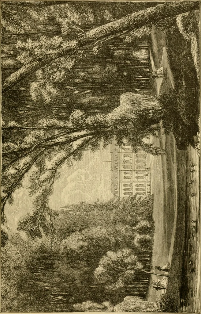 An illustration from The parks and gardens of Paris, considered in relation to the wants of other cities and of the public and private gardens; being notes on a study of Paris gardens, 1878, leaf 122