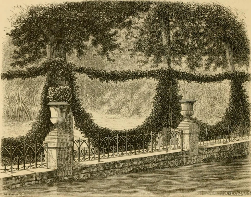 An illustration from The parks and gardens of Paris, considered in relation to the wants of other cities and of the public and private gardens; being notes on a study of Paris gardens, 1878, leaf 127
