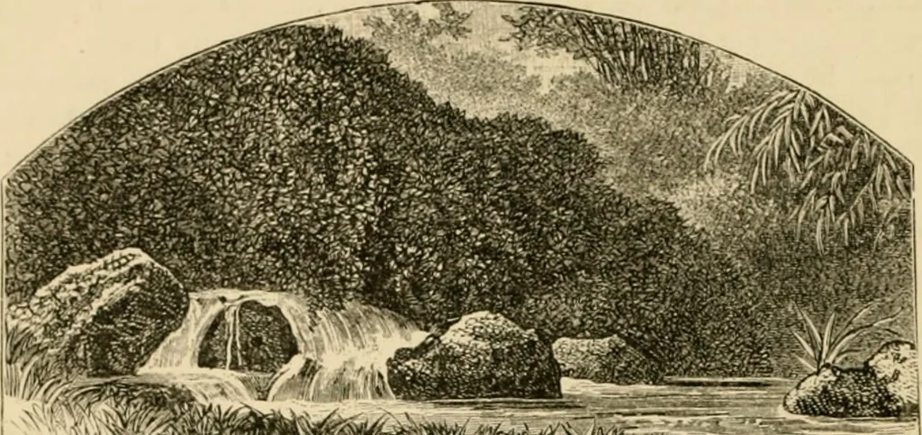An illustration from The parks and gardens of Paris, considered in relation to the wants of other cities and of the public and private gardens; being notes on a study of Paris gardens, 1878, leaf 135
